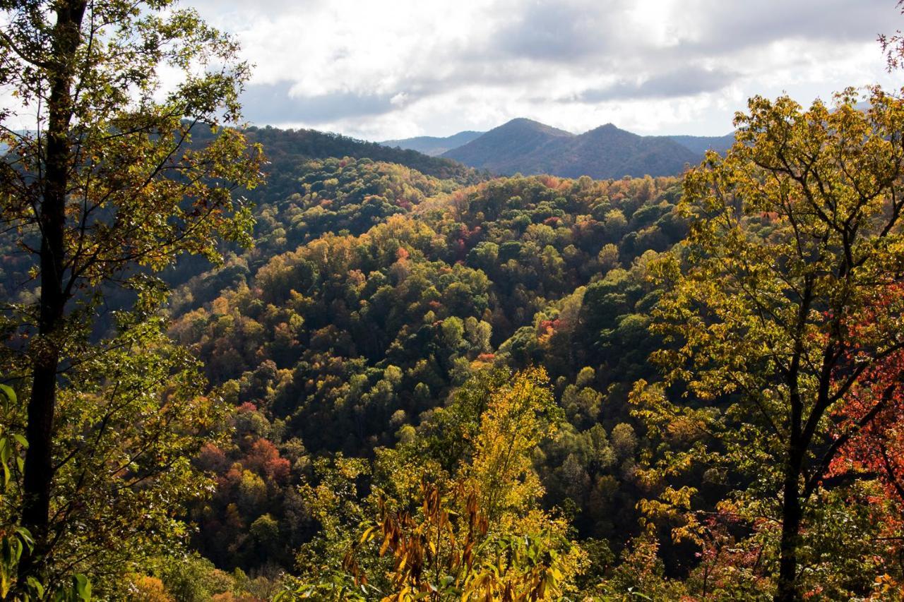 Cherokee Mountain Cabins Llc Otel Topton Dış mekan fotoğraf